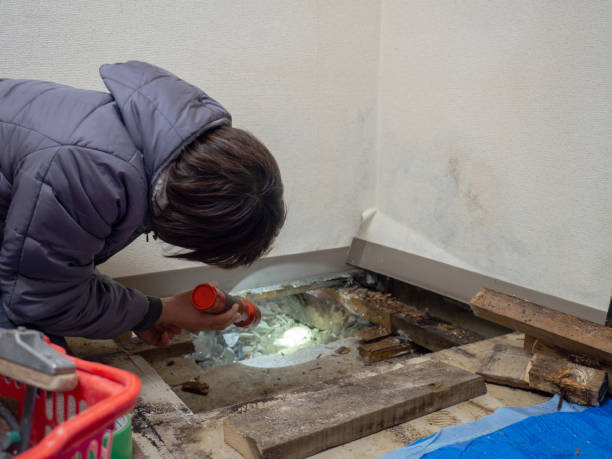 Best Mold Remediation for Vacation Homes  in Stafford Springs, CT