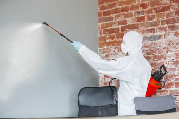 Best Air Quality Testing for Mold Spores  in Stafford Springs, CT
