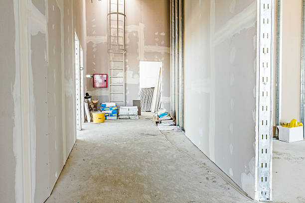 Best Crawl Space Mold Remediation  in Stafford Springs, CT