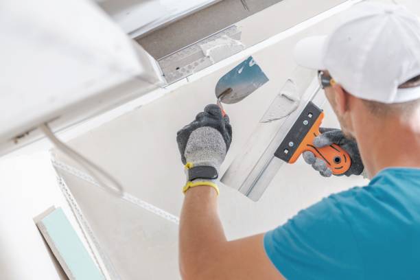 Best Attic Mold Removal  in Stafford Springs, CT